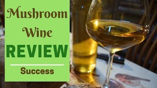 Mushroom wine  taste test and review [upl. by Sennahoj]