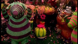 Fimbles  Cactus  Full Episode  Made For kids [upl. by Einnhoj6]