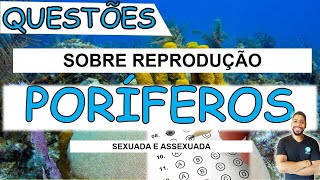 PORÍFEROS Questões sobre REPRODUÇÃO  SEXUADA E ASSEXUADA I Prof Michael Bryan [upl. by Raskin]