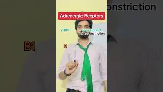 Adrenergic Receptors [upl. by Previdi]