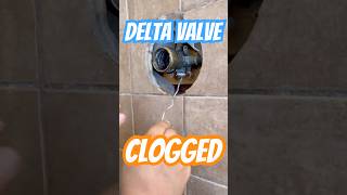 Shower Valve Replacement Turns Into Repair  No Pressure Delta Shower Valve  Ultra Plumbing [upl. by Hake206]