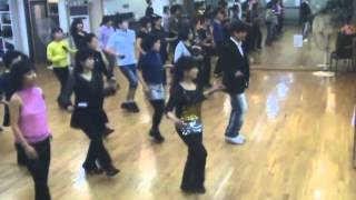 The Blarney Roses  Line Dance Demo amp Walk Through [upl. by Yakcm]