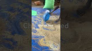 Poultry feed processing and packaging [upl. by Cadel]