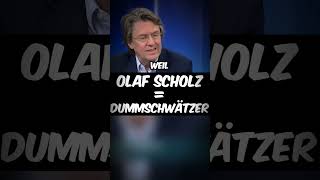 Kolumnist stellt Scholz bloß😂 afd shorts [upl. by Aerdnak]