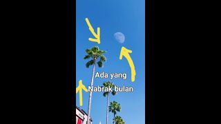 Penampakan jelas meteor menabrak bulan😱 Sampai terlihat dari Bumi [upl. by Ignatz]