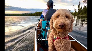 Boundary Waters Canoe and Camping trip 2024 [upl. by Elleahcim]