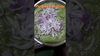 pudina chutney [upl. by Siloum]