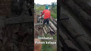 Penyeberangan jembatan darurat prank [upl. by Consuelo]