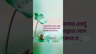 Islamic caption status video❤️islamic captionislamic caption bangla [upl. by Essyla]