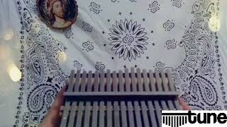 Şebnem Paker  Dinle Eurovision 1997 Kalimba Cover [upl. by Anirtap]