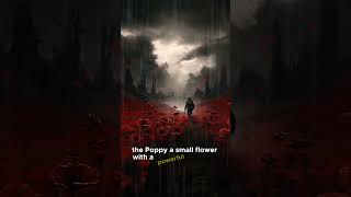 The Poppy A Symbol of Remembrance and Hope [upl. by Missie]