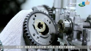 Land Rover Jaguar 20L Timing Chain Replacement [upl. by Canotas]