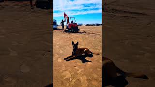 Wohnmobil im Sand stecken geblieben Geht nicht an diesen Strand [upl. by Brett]