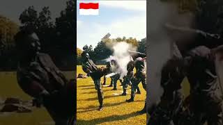 komando latihan pertempuran pasukanelitkhusus specialforces tni [upl. by Vladimir]