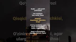 Burjlar  juda yaxshi yashirishadi shortvideo automobile psykotiq love psixolog weather [upl. by Sverre]