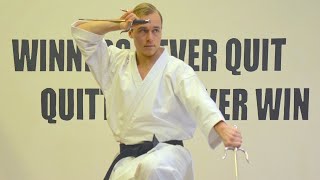 SAI Weapon Tutorial Okinawa Kobudo by Jesse Enkamp [upl. by Okime391]