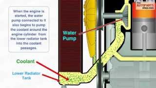 How Car Cooling System Works [upl. by Teiluj947]