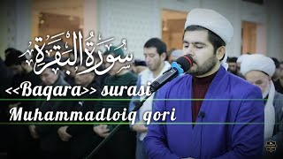 MuhammadloiqQori BAQARA SURASI  MUHAMMADLOIQ QORI  GO‘ZAL QIROAT [upl. by Breskin810]