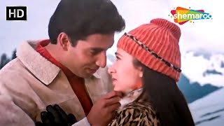 Hum Yaar Hai Tumhare Dildar Hai Tumhare  Haan Maine Bhi Pyaar Kiya2002  Udit NarayanAlka Yagnik [upl. by Dorisa211]