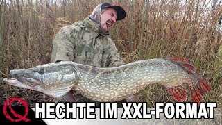 Hechte im XXL Format  Hechtangeln mit Köderfisch  Deadbaiting by Stefan Seuß [upl. by Nedaj]