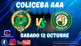 VILLALBA VS AIBONITO BEISBOL COLICEBA AAA JUEGO 6 📅12OCTUBRE24 [upl. by Broek983]