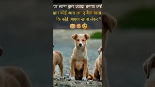 MsSamisharma ghr pe khana thda xtra bna lia kro plzdoglove [upl. by Vokaay]