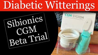 Diabetic Witterings 11  Sibionics CGM Beta Trial [upl. by Rina191]