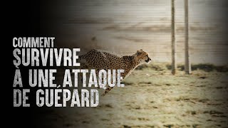 Comment survivre à une attaque de guépard [upl. by Garreth]