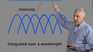 Microscopy Diffraction Jeff Lichtman [upl. by Faubion]