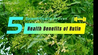 5 Scientifically Proven Health Benefits of Rutin  Rutin benefits [upl. by Yajiv417]