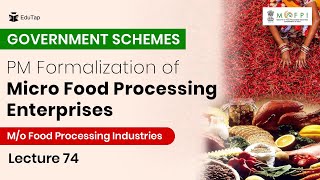 PM Formalization of Micro Food Processing Enterprises Scheme​  Important Government Schemes amp MCQs [upl. by Yboc]