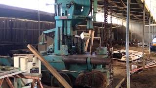 Stenner bandsaw resaw vh48 [upl. by Stila]