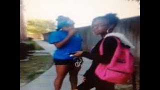 Sharkeisha Fight Video [upl. by Berry113]