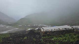 Simply The Yak Herdsmen Life In Himalayan Mountains  Rain Day Peaceful amp Super Relaxing Rural Life [upl. by Yhtomot]