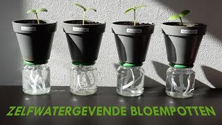 DIY  Zelfwatergevende bloempotten [upl. by Aliuqehs]