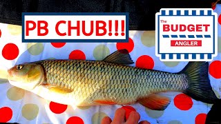 Big London Chub  River Ingerbourne [upl. by Woodie]