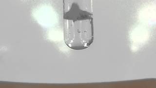 Lead Nitrate  Hydrochloric Acid [upl. by Nylirehc16]