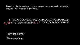 How to design primers for PCR [upl. by Thorfinn]