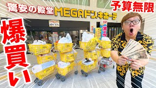 【お金無限爆買い】ドンキ貸切にして20億円新居の日用品爆買いしてみた！【MEGAドン・キホーテ】 [upl. by Ahsatel972]