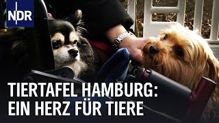 Hamburger Tiertafel Ein großes Herz für Tiere  Die Nordreportage  NDR Doku [upl. by Glendon545]