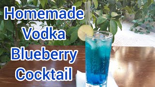 Blueberry vodka How to make simple homemade recipe blueberry vodka cocktail [upl. by Maril]