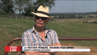 EXTRAIT  Le trotteur français toujours plus rapide  Equidia Live [upl. by Eadrahs]