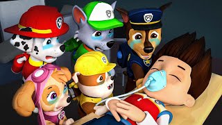 Paw Patrol Ultimate Rescue  RYEDR FUNERAL  Ryder please dont leave  Rainbow [upl. by Harp]