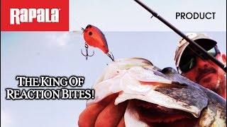 The Best SquareBill Crankbait The Rapala® BX™ Brat [upl. by Lipski]