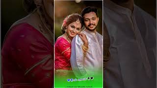 Un manasula pattuthaan irukkuthu song status video Tamil trending viralvideo subscribe [upl. by Eivol635]