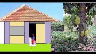 Kaake kaake koodu evide Malayalam nursery Kake kake koodevide [upl. by Alvis345]