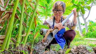 Digging for Galangal amp Foraging Thai Ingredients [upl. by Anairam]