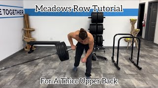 Barbell Meadows Row Tutorial [upl. by Eidnim]