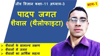 शैवाल  AlgaeThallophytaशैवालों में जननIsogamous Anisogamous Oogamous आर्थिक महत्व [upl. by Nodyroc]