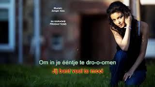 Karaoke HD quotJij bent veel te mooiquot Zanger Alex met vocal assist [upl. by Zennas]